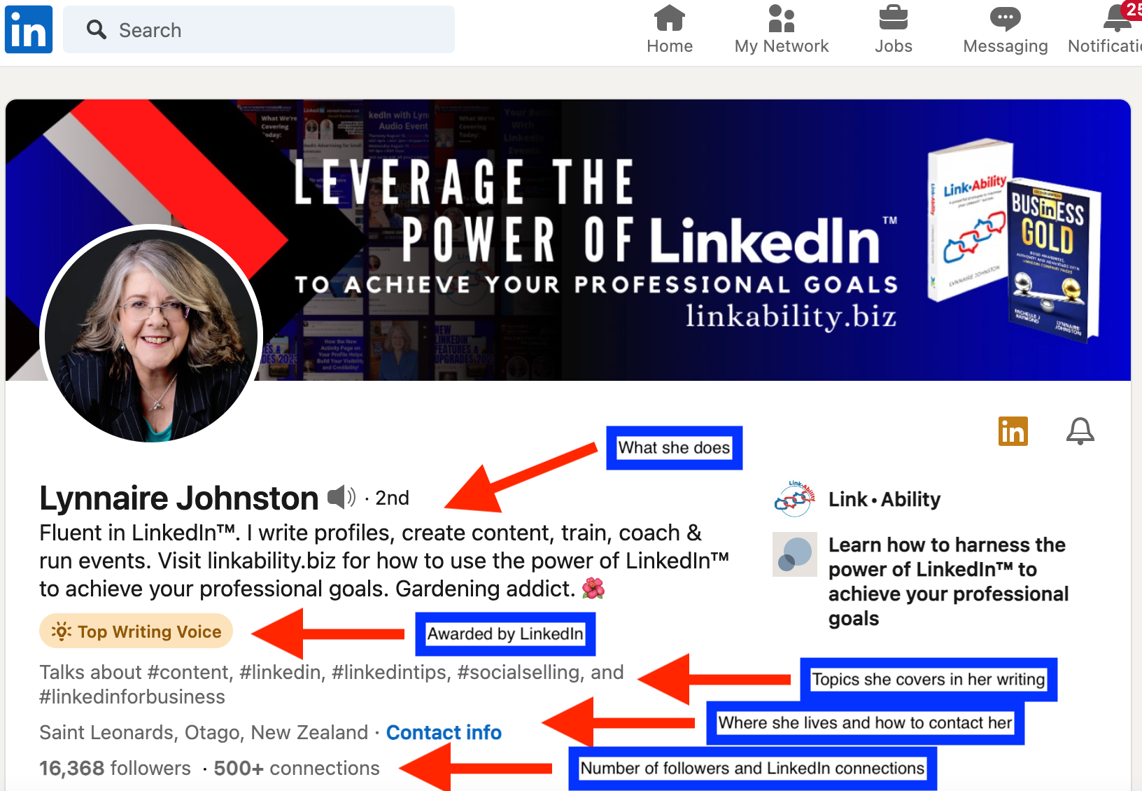 LinkedIn banner image for Lynnaire Johnstone with red arrows pointing to the different pieces of text and explaining what they are
