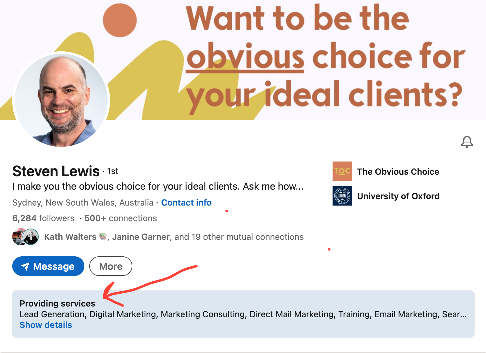 Image provides an example of what expert AI copywriter Steven Lewis's Services section looks like