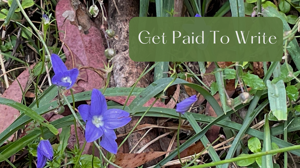 Little purple flowers in a bed of green grass stems and brown leaves and bark. Text reads, Get paid to write