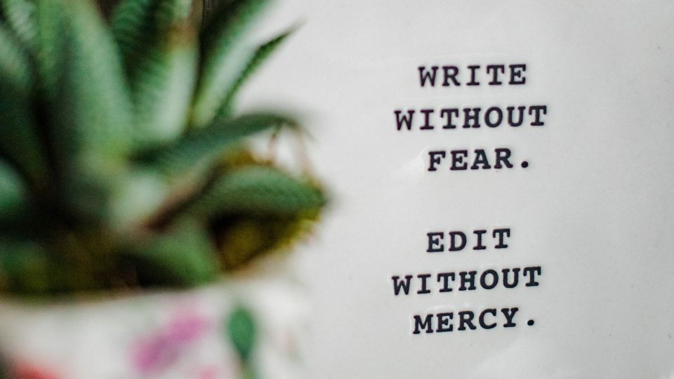 Plant pot next to typed words: Write without fear. Edit without mercy.